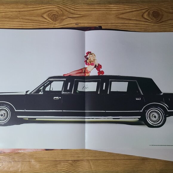 Doja Cat "Vie" Vinyl with signed print - Picture 7 of 7